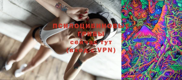 прущая мука Бородино