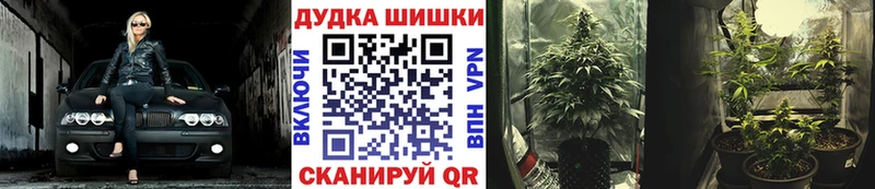 ОМГ ОМГ tor  Шали  Конопля сатива 